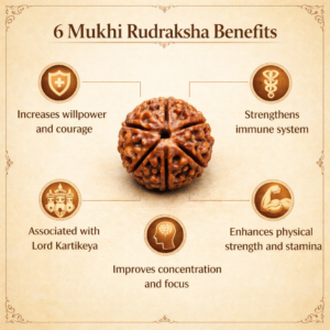 6 mukhi rudraksha benefits